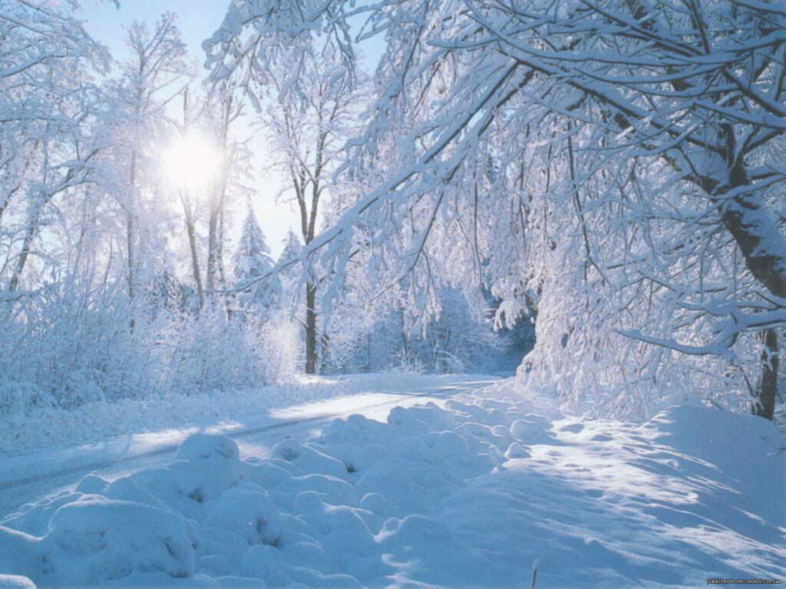 Картинки января красивые